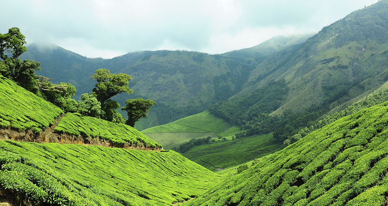 Kerala Tour Packages by Green Hope Tourism