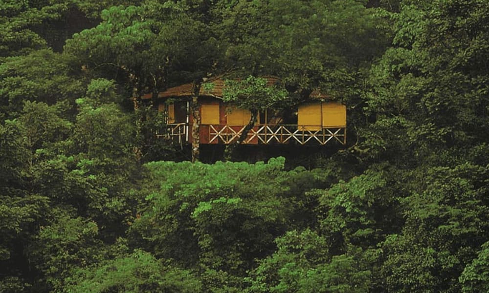 Tree House at Vythir Resort