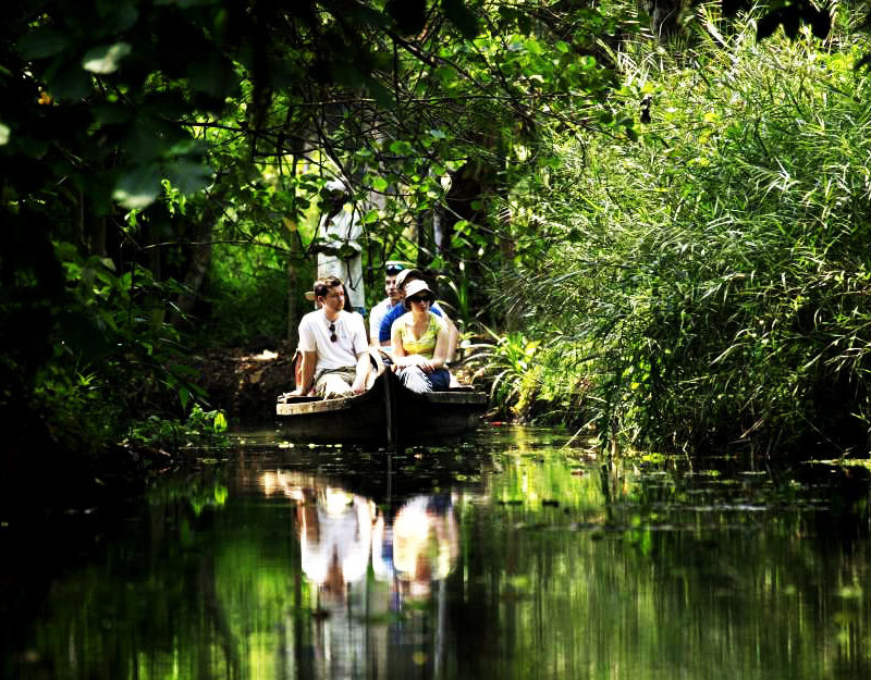 country boat ride through the narrow canals of Kumarakom, Kerala